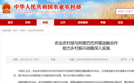 农业农村部与阿里巴巴战略合作 依托钉钉共建乡村数字化治理平台